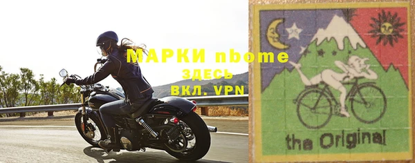хмурый Алзамай