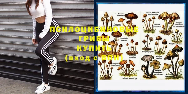 хмурый Алзамай