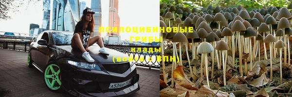 метамфетамин Алексеевка