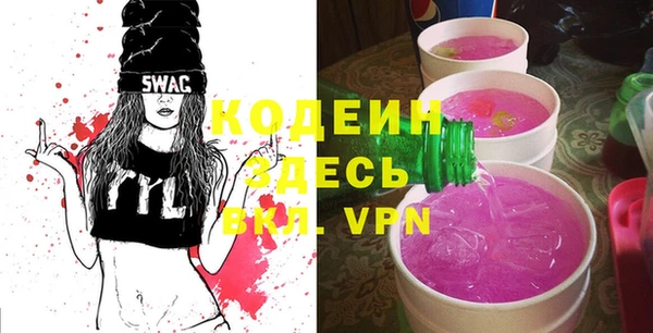 хмурый Алзамай