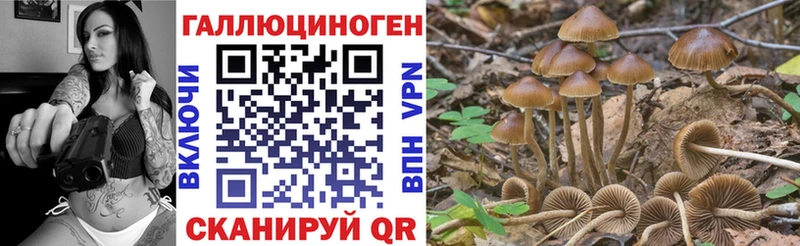 Галлюциногенные грибы Magic Shrooms Находка