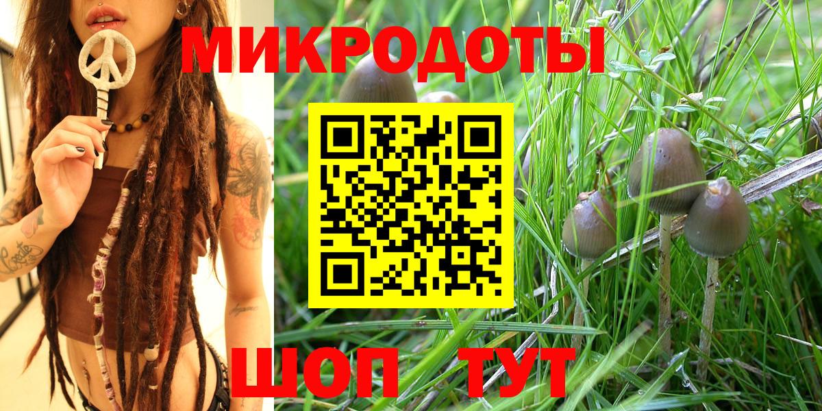 Находка  закладка  Псилоцибиновые грибы Psilocybe  Вход с VPN  Псилоцибиновые грибы Psilocybe 