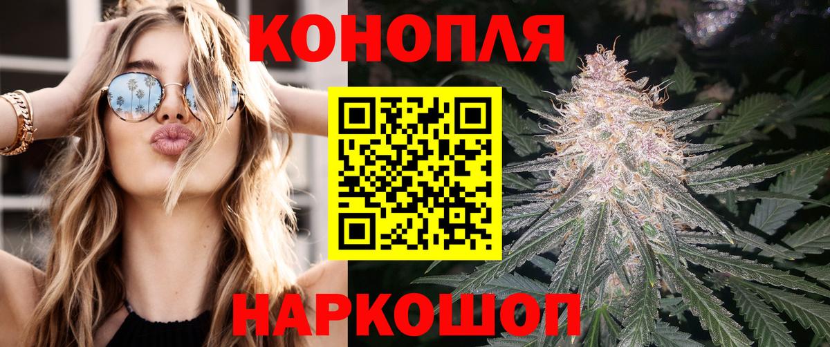 Каннабис сатива Находка